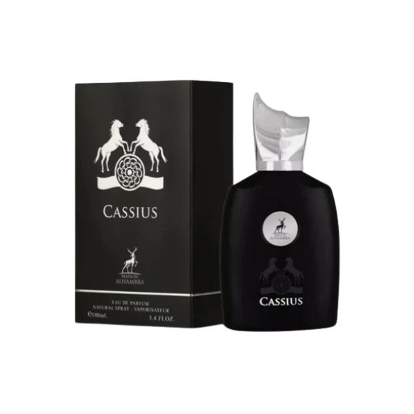 CASSIUS Pour Homme